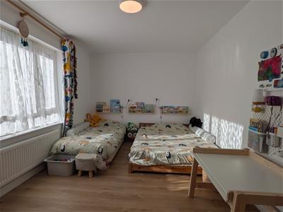 Picture 12